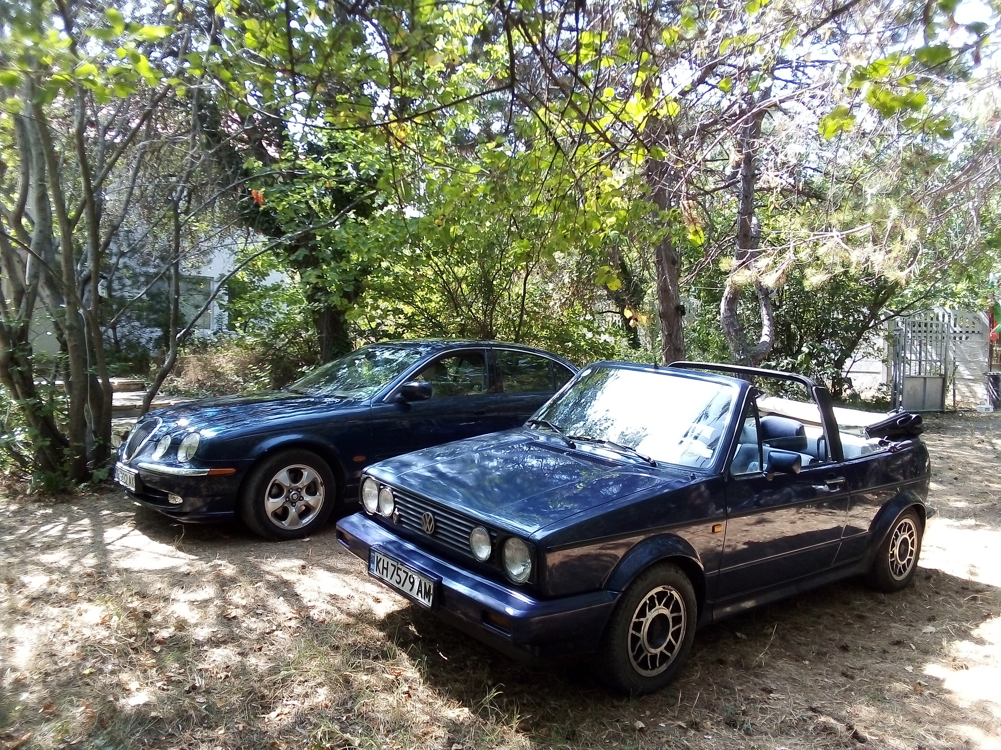 IMG_20240821_141443b2c2aae1e98901e5.jpeg