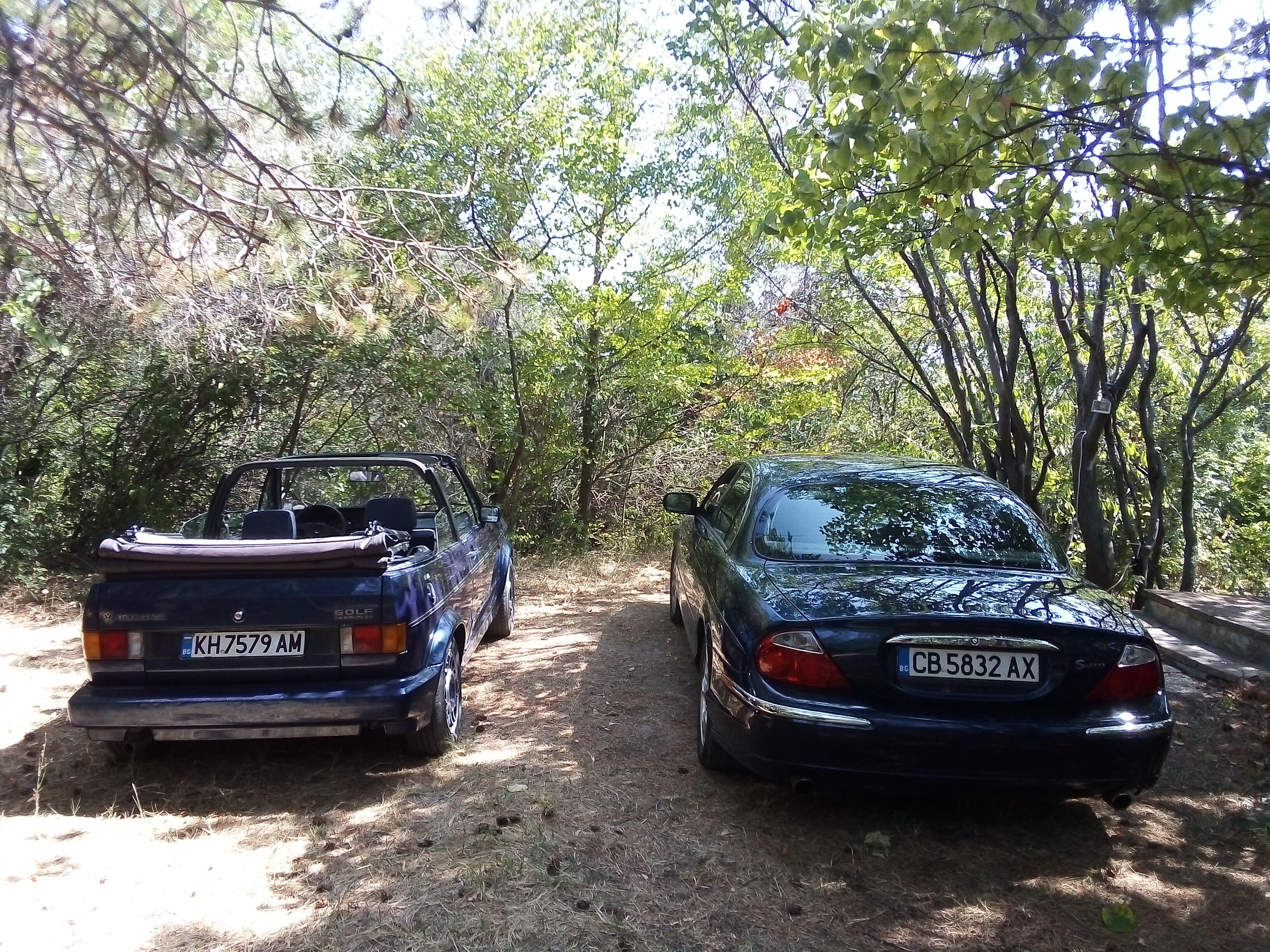 IMG_20240821_1417085d2eab0be2ab321c.jpeg