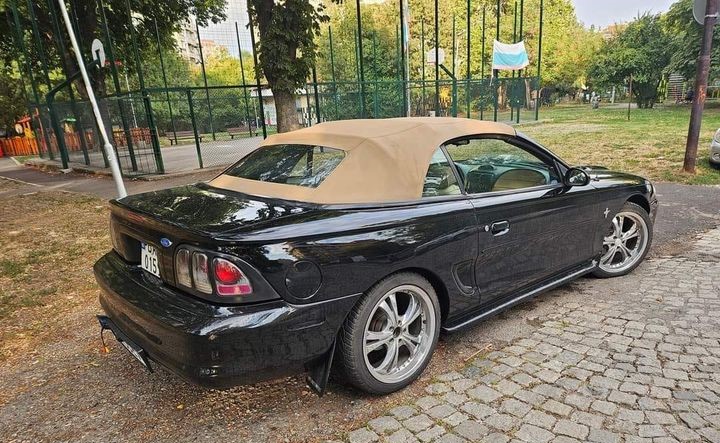 AMER-STANG-KABRIO-4-GENe709b6b1cceb2bbd.jpeg