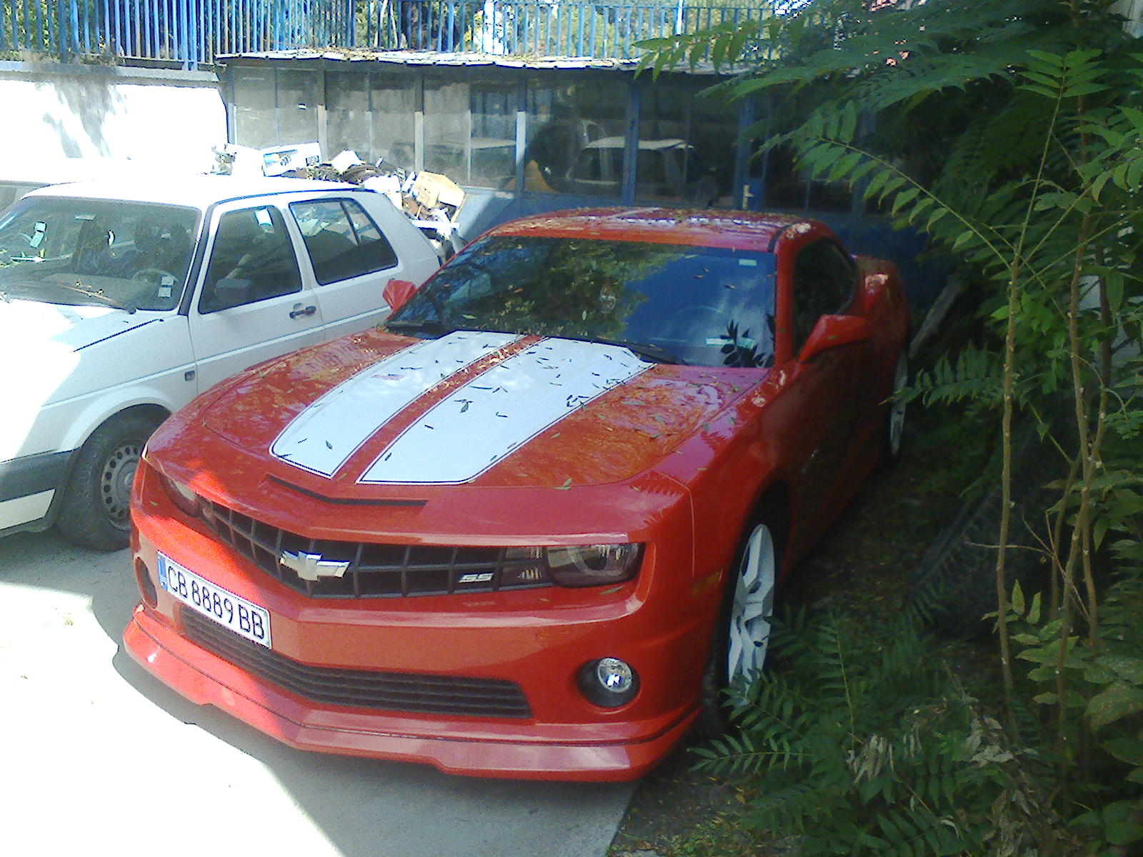 photo33187609582cc3675b157.jpeg