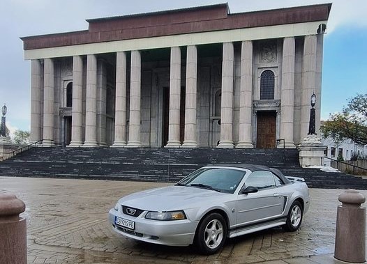 AMER-STANG-BOYNAef4f9bf8b9a17dc6.jpeg