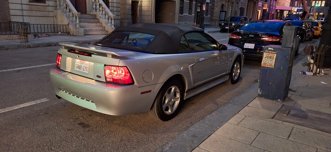 AMER-MUSTANG5681d7c4c40221a2.jpeg