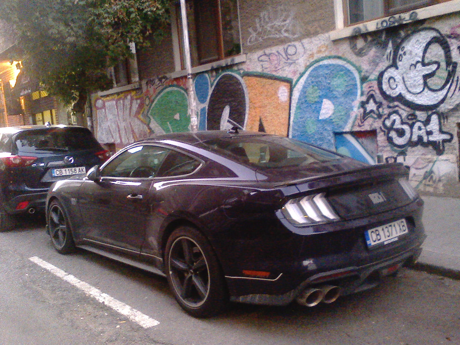 photo332956e9e53c093a1a29e.jpeg