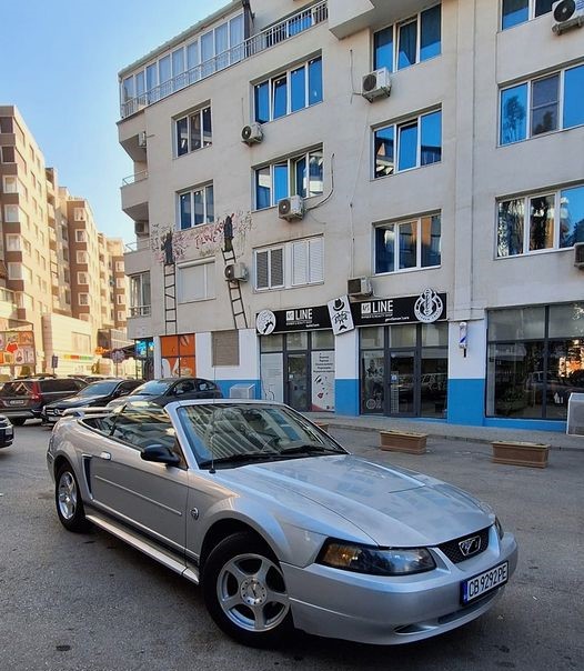 AMER-STANG-4-TA-GEN927b85818aa68af3.jpeg
