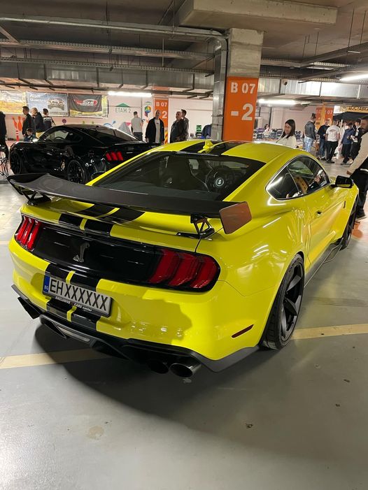 MUSTANG-EN-KKKKKK-NOMER-7BONA23c063d1ae08807f.jpeg