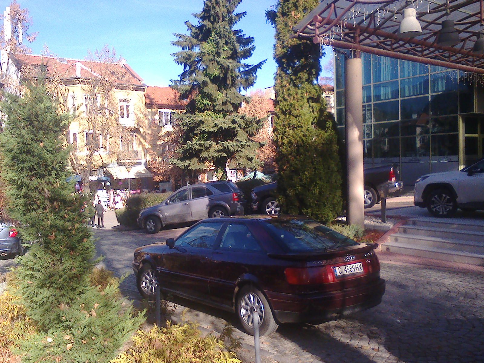 photo336552fa706a9ffbd0502.jpeg