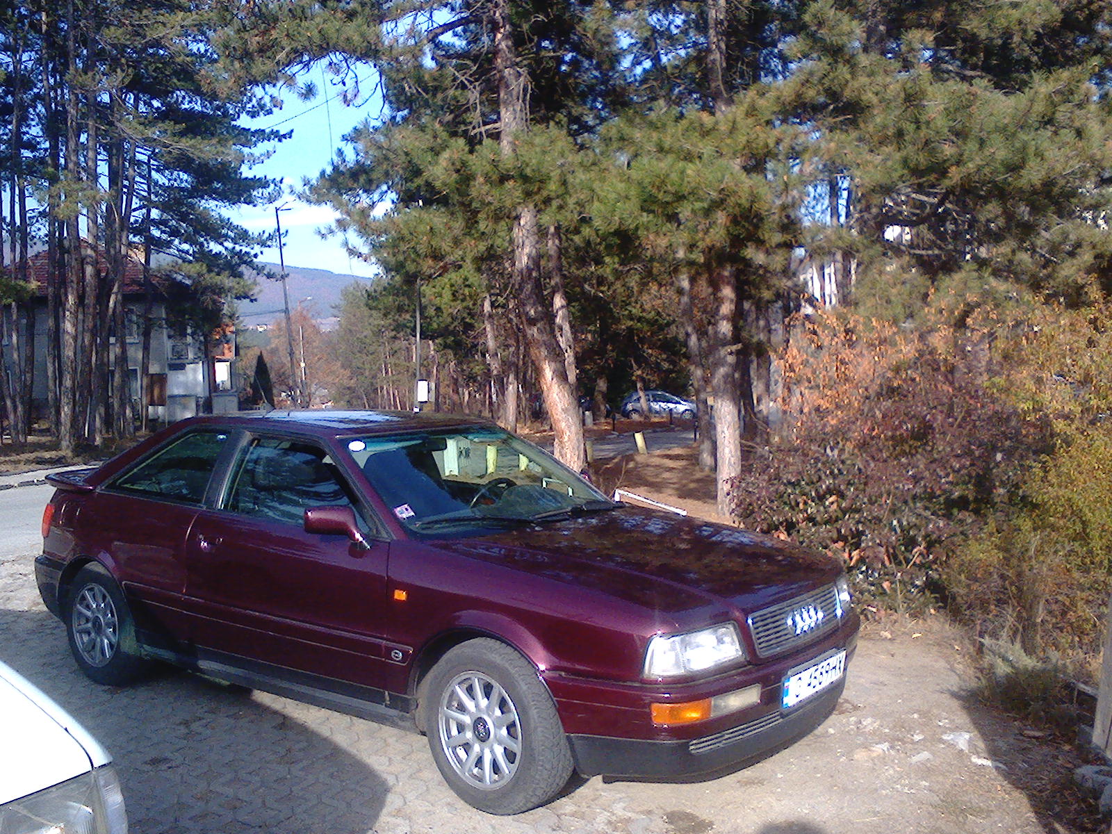 photo337798b9124d8a6ff7433.jpeg
