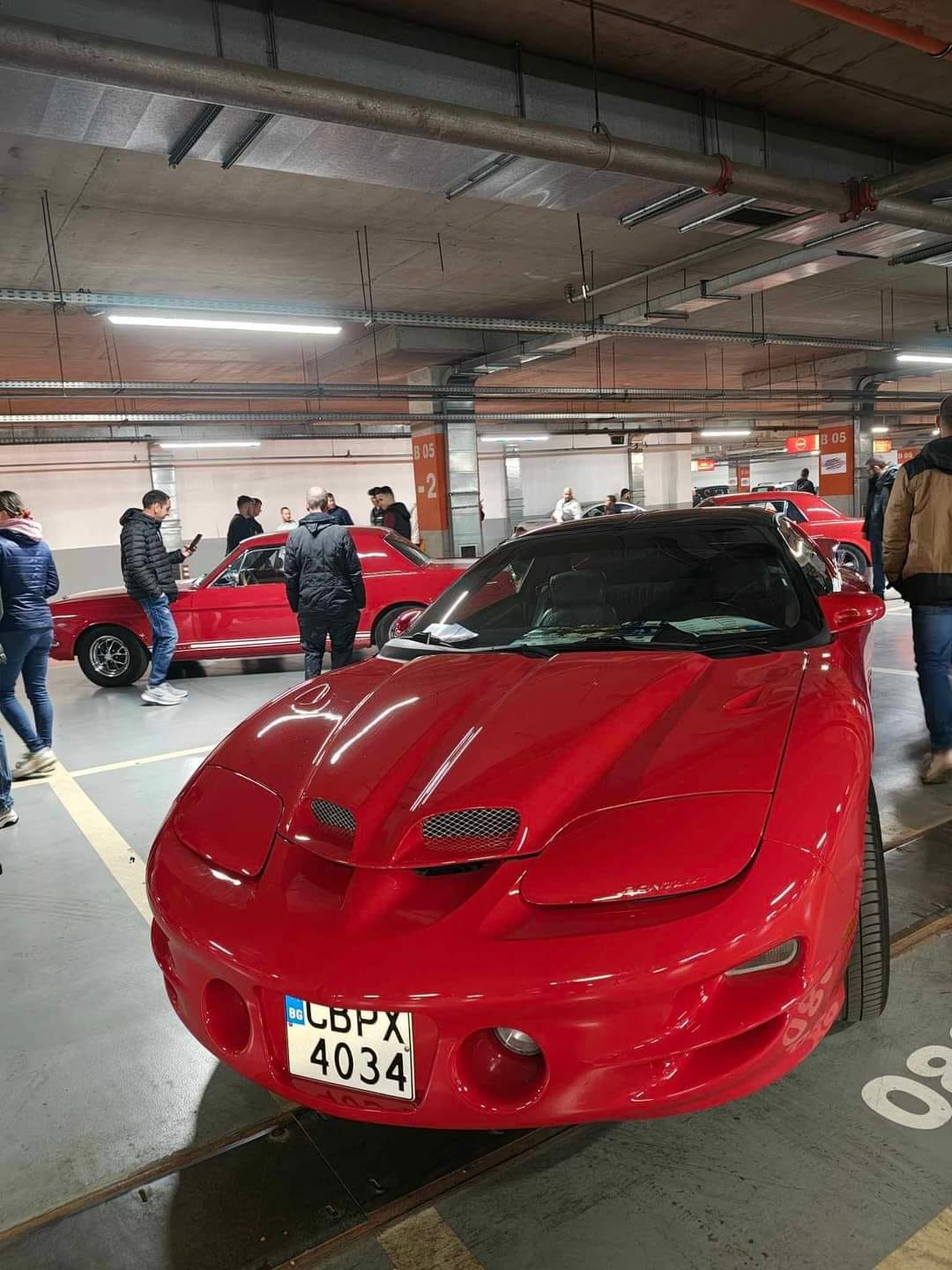 AMER-A-TRANSAM-21120980cdc84bb4f.jpeg