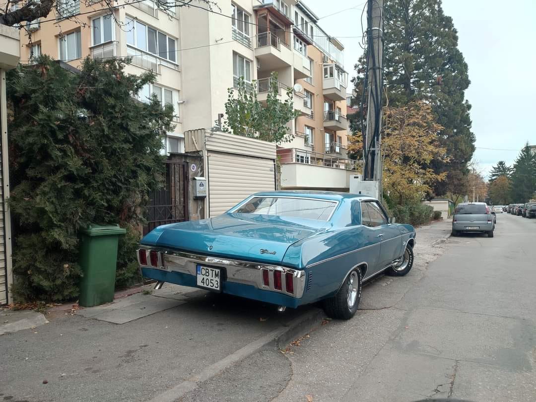 AMER-SEVI3b961aa564956aef.jpeg