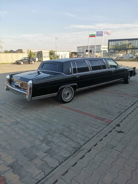 AMER-KADI-LIMO459a14ef37bf0920.jpeg