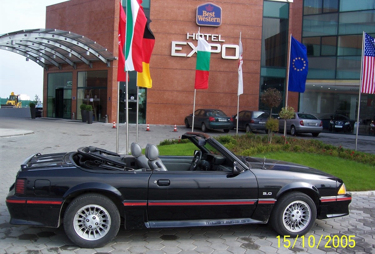 Mustang5.0-Exposide-27d881790f41f74c9.jpeg