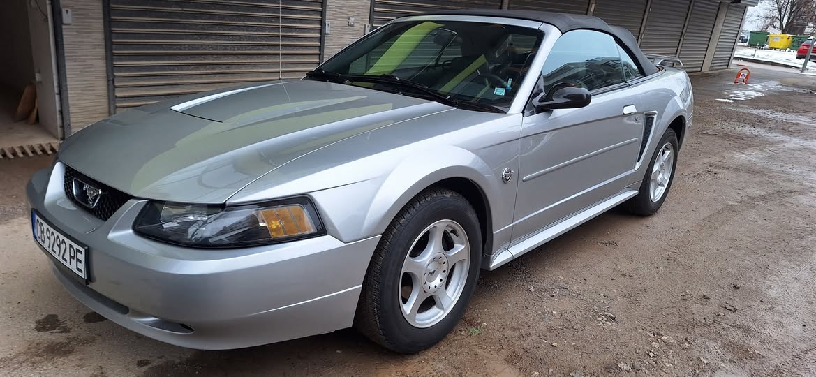 AMER-STANG-4-GEN86ee321afcf67375.jpeg