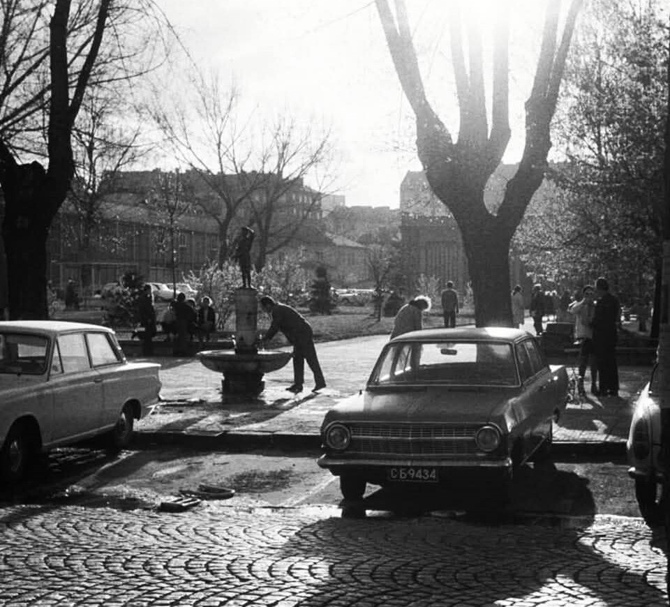 SOFIY---634f93b17912dea8fc.jpg